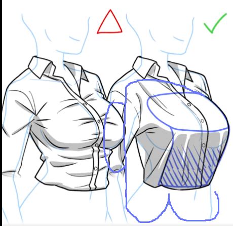 boobs drawing|Character Anatomy 